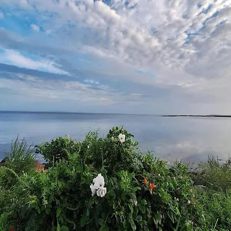 Apartament 4 Person In