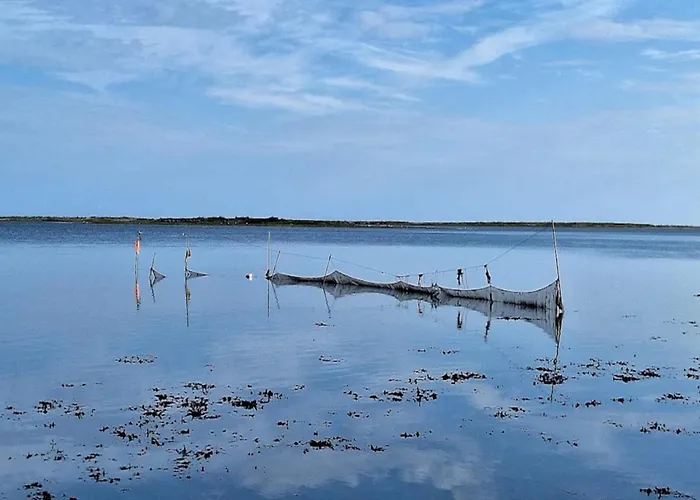 Apartamento 4 Person In Bogense