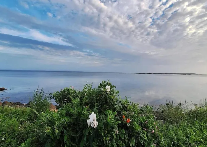 Apartamento 4 Person In